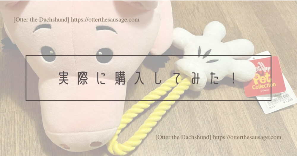 Header Image_Otter the Dachshund_travel with dogs_hang out with dogs_犬旅ブログ_犬とお出かけブログ_tokyo-disney-land_home-store-where-you-can-buy-dog-goods_実際にわんこグッズを購入してみた！